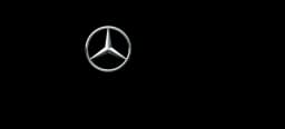 Mercedes-Benz Management Consulting